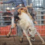 rodeo results