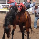 bassano rodeo